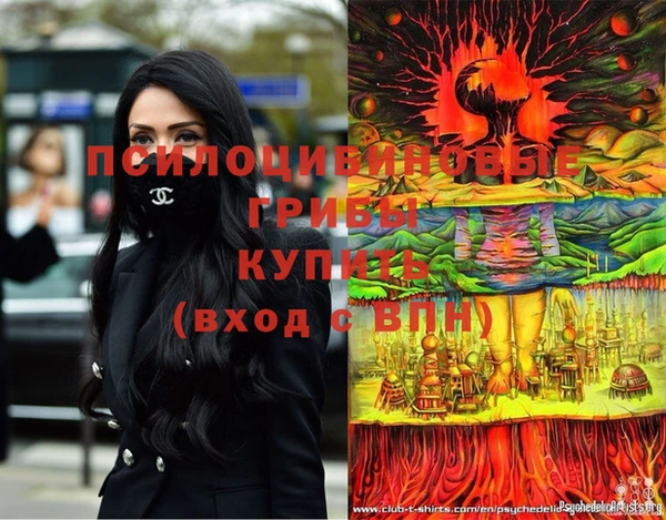 бошки Абинск