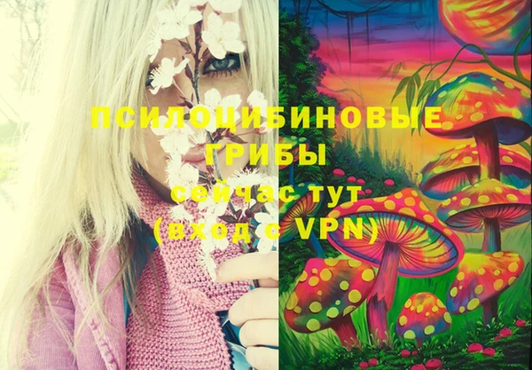 PSILOCYBIN Абаза